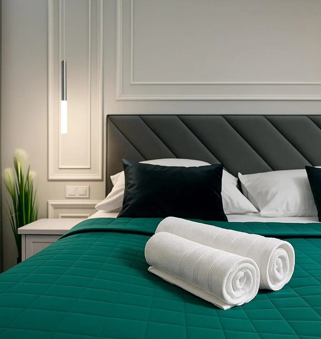 Elegance Centrum Apartment Air Conditioner & Garage For Free Wroclaw 0*,